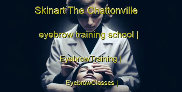 Skinart The Chattonville eyebrow training school | EyebrowTraining | EyebrowClasses | SkinartTraining-France